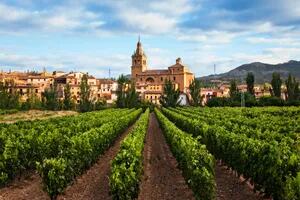 El vino español busca su sitio: cómo pasar del granel a la calidad