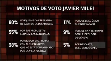 Motivos de voto a Javier Milei