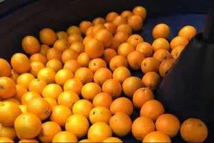 Los emprendedores intercambian jugo de manzana argentino por jugo de naranja brasilero