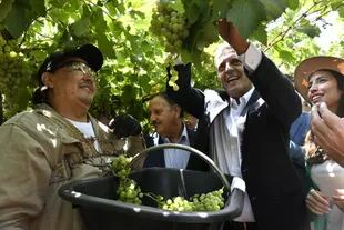 El ministro de Economía, Sergio Massa, visitó una de las cooperativas vitivinícolas de esa provincia 