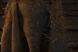 El Dumbo de Tim Burton muestra la cara (y las orejas) en su primer tráiler