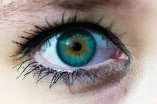 La investigación podrá conducir a futuras nuevas terapias para enfermedades del ojo