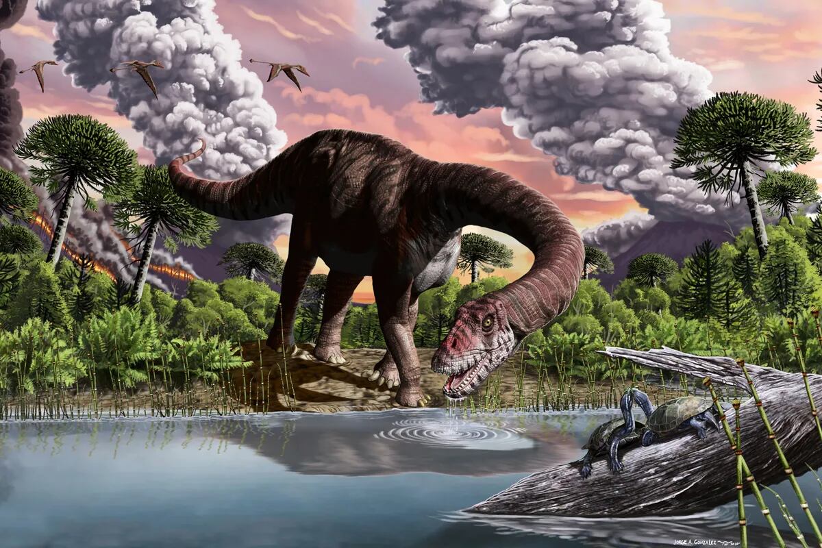 Descubren por qué los herbívoros gigantes reinaron durante 100 millones de  años - LA NACION