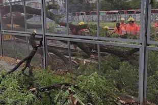 Se cayó un árbol en la vías del tren Sarmiento a la altura de Liniers, el servicio se encuentra interrumpido