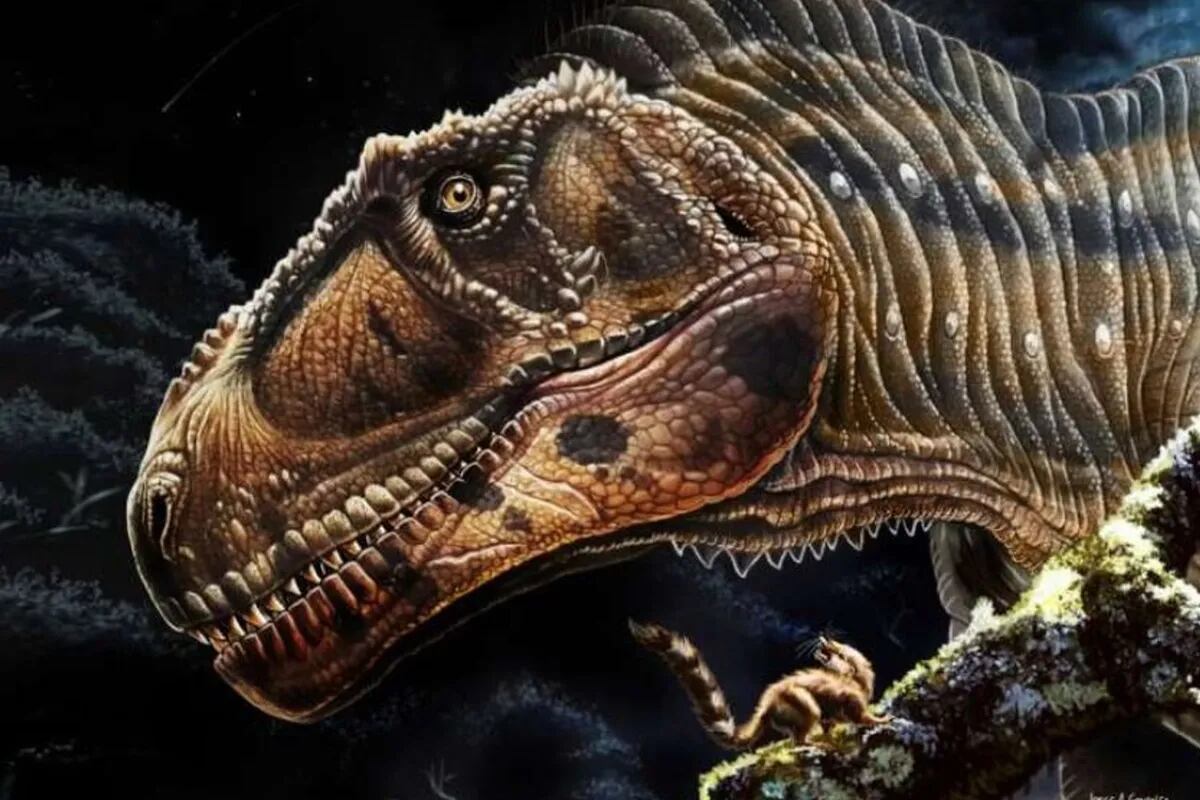 Nuevo dinosaurio carnívoro gigante con brazos diminutos como T. Rex - LA  NACION