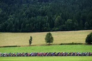 Panorámica. Entre naturaleza y cultura, el Tour de France