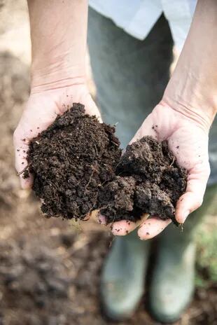 Un suelo rico en materia orgánica tiene mayor capacidad de retención de humedad