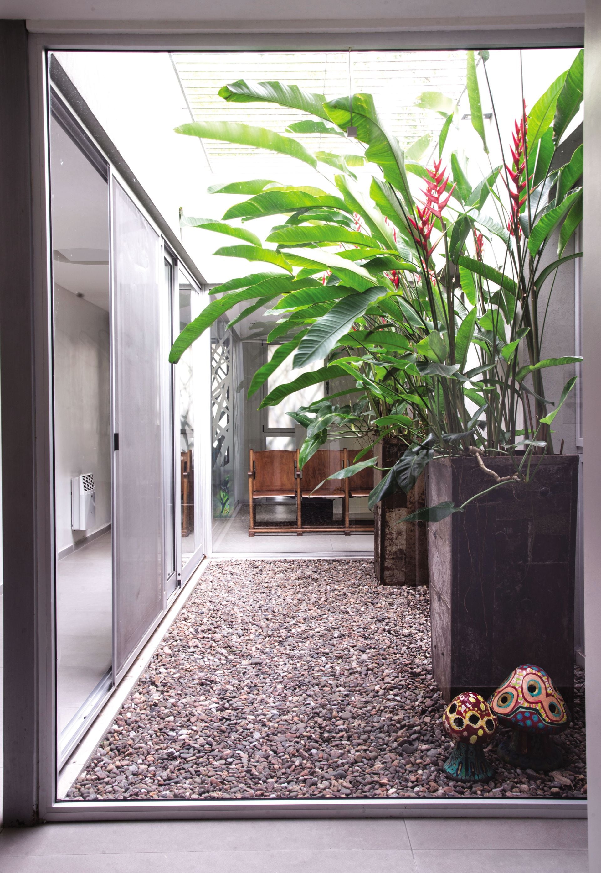 Un patio interno con heliconias como protagonistas indiscutidas
