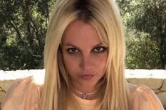 El peculiar disfraz de Halloween de Britney Spears que generó controversia
