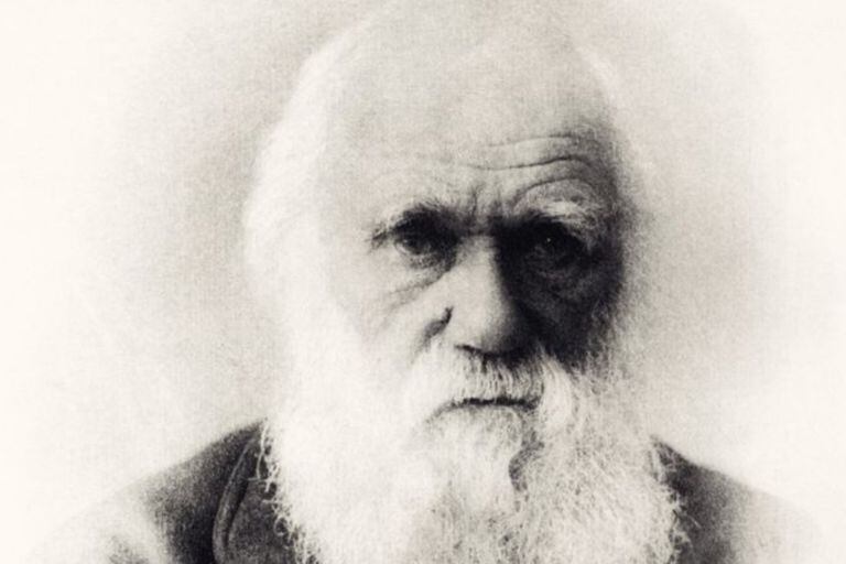 Charles Darwin tenía solo 22 años cuando partió rumbo a su viaje por el mundo, a bordo del HMS Beagle