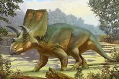 El fósil de dinosaurio hallado en la casa del fundador de CNN pertenece a una nueva especie