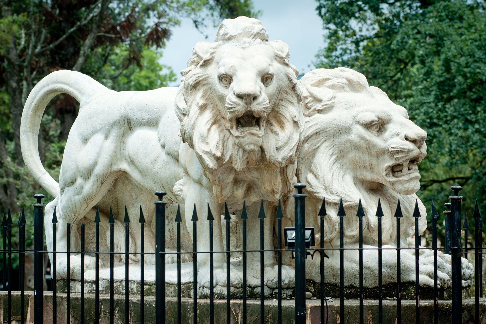 En la Plaza Hipólito Yrigoyen del barrio Ciudad de Nieva en la capital jujeña, se encuentran os leones representando la Fuerza, también parte de los grupos alegóricos del Congreso