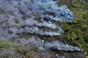Un incendio de gran magnitud afecta hace más de 21 horas el Parque Nacional Ciervo de Los Pantanos en Campana