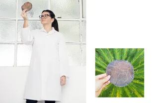 Verónica Bergottini cultiva biomateriales producidos por microrganismos para vestidos y carteras