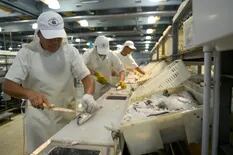 Bajan retenciones a productos pesqueros para favorecer procesos enteramente en el país