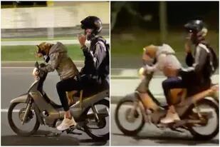 Video: se viralizó como un perro manejó una moto a alta velocidad