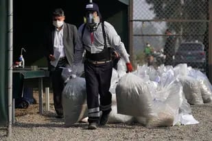 Un empleado municipal lleva bolsas de marihuana incautada para destruirlas en una base policial en Lima, Perú, el lunes 18 de abril de 2022. (AP Foto/Martín Mejía)