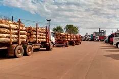 Camioneros bloqueó dos plantas y un puerto de la empresa Arauco en Misiones