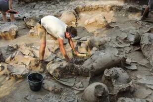 Misterio: arqueólogos descubren por qué un palacio quedó vacío hace 3700 años