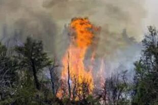 El fuego en Chubut ya consumió más de 20.000 hectáreas, una superficie similar a la extensión de Capital Federal