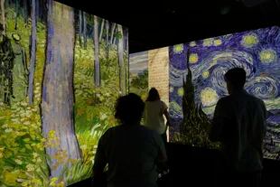 La muestra inmersiva incluye proyecciones de las obras de Vincent
