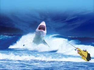 El tiburón blanco es una de las especies más peligrosas del mundo marino, pero no por algún veneno