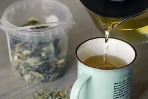 El té verde y sus múltiples beneficios