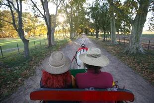 Paseos en carruaje y a caballo, propuestas clásicas del turismo rural