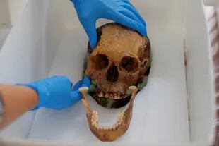 El análisis antropométrico del cráneo permitió a los expertos conocer las dimensiones de ciertas partes de su cuerpo como el ancho de la nariz, los maxilares y otras medidas como la altura, que fue fijada en 1,50 metros