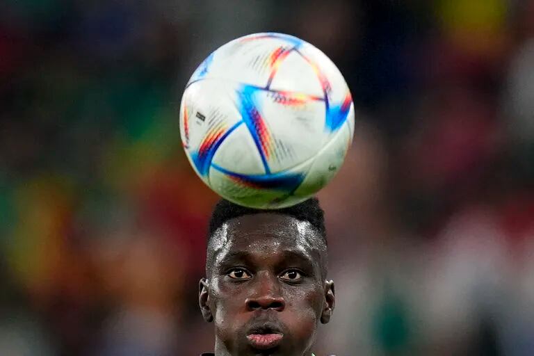Catar contra  Senegal, en vivo: cómo ver online y minuto a minuto el partido del Mundial de Qatar 2022