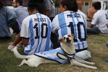 Hasta las mascotas alientan a la Selección Argentina. Pantalla gigante en la Villa 31