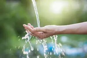 Por qué se celebra hoy el Día Mundial del Agua