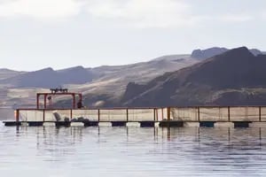 Una organización internacional reconoció el estatus sanitario de los salmónidos de una zona de la Patagonia