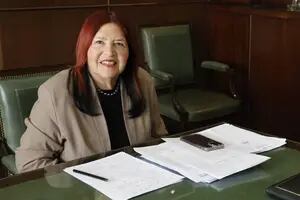La jueza Ana María Figueroa presentó los papeles para jubilarse