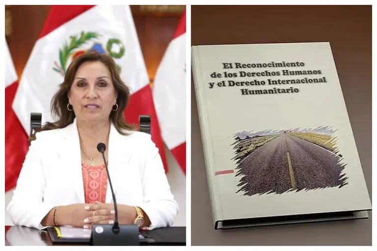 They decried that the President of Peru stole an Argentine study in a secret book: “The comma will not change”