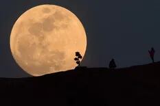 Luna llena de abril: qué día se podrá ver la “superluna rosa” en el cielo