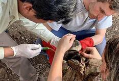 Veterinario argentino en la Amazonia: "Los animales morían quemados o de hambre"
