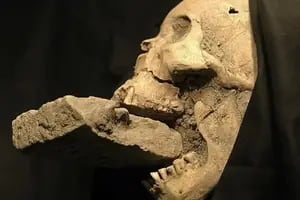 Hallaron la tumba de una mujer de hace 500 años y revelaron por qué la enterraron con un ladrillo en la boca