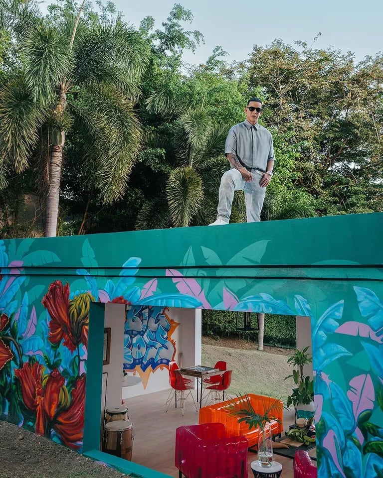 Daddy Yankee Airbnb House