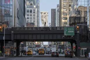 Render del proyecto escultórico de Claudia Fontes para el concurso del High Line de Nueva York 