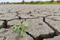 Por qué las lluvias después de las sequías pueden ser tan peligrosas