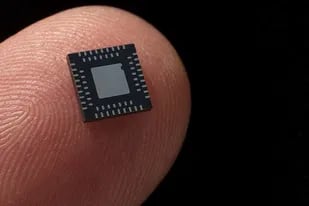 Empresas fabrican chips informáticos con células humanas, pero ¿es ético?