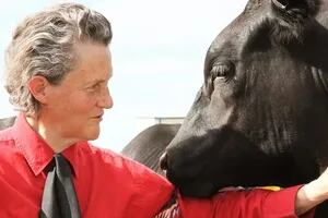 Innovadora. Quién es Temple Grandin, la mujer que piensa como las vacas
