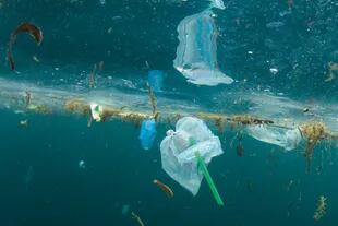 Se estima que para 2050 vamos a tener más plásticos que peces en el mar