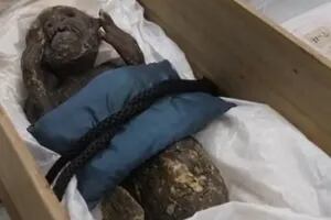 El misterioso caso de la momia con cola de pez y cara humana que investigan en Japón