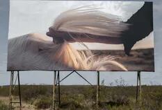 Galería a cielo abierto en la ruta 3: una mano de mujer se aferra las crines de un caballo blanco