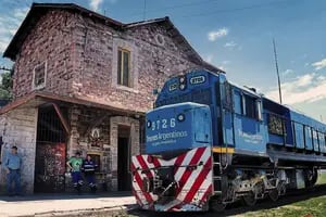 Nota II de III: Los ferrocarriles de carga en la Argentina, ante un cambio histórico