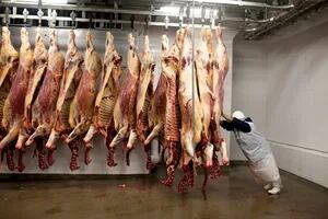 Cepo a la carne: una  medida precaria y que demuestra ineptitud