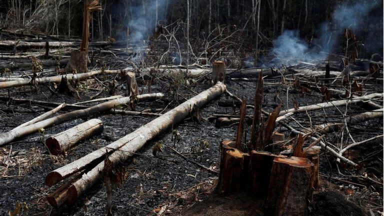 Entre enero y agosto de 2019, el número de incendios forestales en Brasil aumentó casi un 83% respecto al mismo periodo del año pasado. Activistas por el ambiente y grupos indígenas señalan que las políticas de Bolsonaro ponen en peligro al Amazonas 