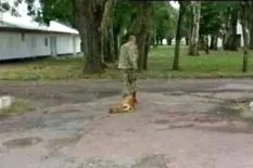 Encontraron muerto al militar acusado de asesinar al perro Malevo